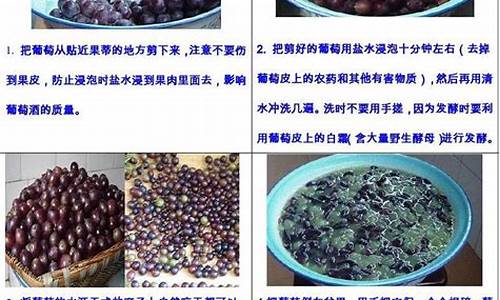 甜葡萄酒的制作方法_甜葡萄酒的制作方法 